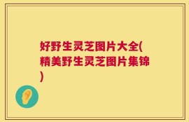 好野生灵芝图片大全(精美野生灵芝图片集锦)