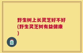 野生树上长灵芝好不好(野生灵芝树有益健康)