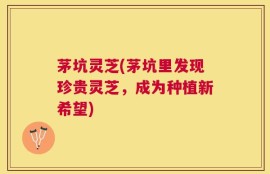 茅坑灵芝(茅坑里发现珍贵灵芝，成为种植新希望)