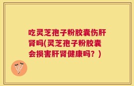 吃灵芝孢子粉胶囊伤肝肾吗(灵芝孢子粉胶囊会损害肝肾健康吗？)