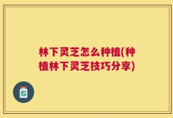 林下灵芝怎么种植(种植林下灵芝技巧分享)