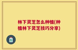 林下灵芝怎么种植(种植林下灵芝技巧分享)