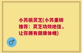 小苏摘灵芝(小苏重磅推荐：灵芝功效绝佳，让你拥有健康体魄)