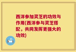 西洋参加灵芝的功效与作用(西洋参与灵芝搭配，共同发挥更强大的功效)