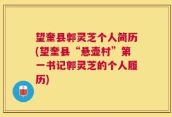 望奎县郭灵芝个人简历(望奎县“悬壶村”第一书记郭灵芝的个人履历)