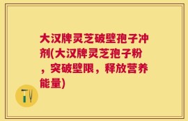 大汉牌灵芝破壁孢子冲剂(大汉牌灵芝孢子粉，突破壁限，释放营养能量)