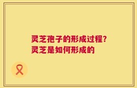灵芝孢子的形成过程？灵芝是如何形成的
