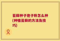 苔藓种子孢子粉怎么种(种植苔藓的方法及技巧)