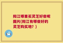 阳江哪里买灵芝好些呢图片(阳江有哪些好的灵芝购买地？)