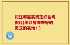 阳江哪里买灵芝好些呢图片(阳江有哪些好的灵芝购买地？)