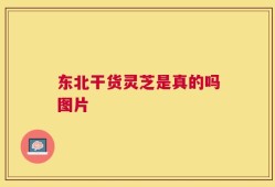东北干货灵芝是真的吗图片