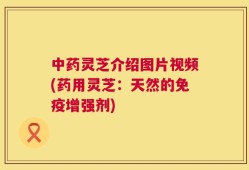 中药灵芝介绍图片视频(药用灵芝：天然的免疫增强剂)