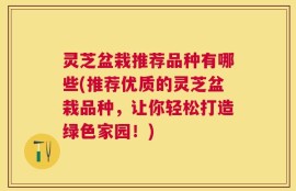 灵芝盆栽推荐品种有哪些(推荐优质的灵芝盆栽品种，让你轻松打造绿色家园！)