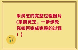 采灵芝的完整过程图片(采摘灵芝，一步步教你如何完成完整的过程！)