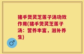 猪手煲灵芝莲子汤功效作用(猪手煲灵芝莲子汤：营养丰富，滋补养生)