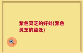 紫色灵芝的好处(紫色灵芝的益处)