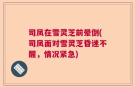 司凤在雪灵芝前晕倒(司凤面对雪灵芝昏迷不醒，情况紧急)