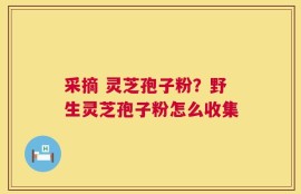 采摘 灵芝孢子粉？野生灵芝孢子粉怎么收集
