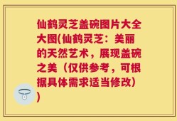 仙鹤灵芝盖碗图片大全大图(仙鹤灵芝：美丽的天然艺术，展现盖碗之美（仅供参考，可根据具体需求适当修改）)