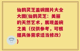 仙鹤灵芝盖碗图片大全大图(仙鹤灵芝：美丽的天然艺术，展现盖碗之美（仅供参考，可根据具体需求适当修改）)