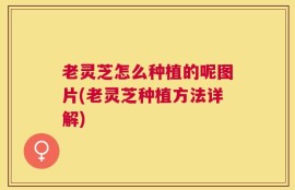老灵芝怎么种植的呢图片(老灵芝种植方法详解)
