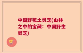 中国野菰土灵芝(山林之中的宝藏：中国野生灵芝)