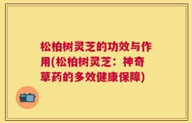 松柏树灵芝的功效与作用(松柏树灵芝：神奇草药的多效健康保障)
