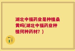 湖北中福药业是种植桑黄吗(湖北中福药业种植何种药材？)