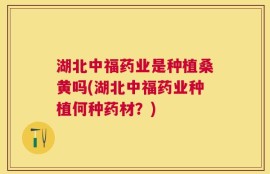 湖北中福药业是种植桑黄吗(湖北中福药业种植何种药材？)