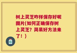 树上灵芝咋样保存好呢图片(如何正确保存树上灵芝？简易好方法来了！)