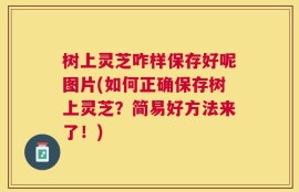 树上灵芝咋样保存好呢图片(如何正确保存树上灵芝？简易好方法来了！)