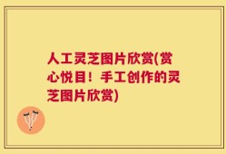 人工灵芝图片欣赏(赏心悦目！手工创作的灵芝图片欣赏)