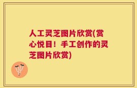 人工灵芝图片欣赏(赏心悦目！手工创作的灵芝图片欣赏)