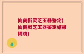 仙鹤衔灵芝玉器鉴定(仙鹤灵芝玉器鉴定结果揭晓)