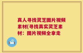 真人寻找灵芝图片视频素材(寻找真实灵芝素材：图片视频全拿走