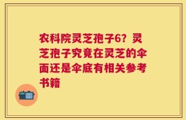 农科院灵芝孢子6？灵芝孢子究竟在灵芝的伞面还是伞底有相关参考书籍