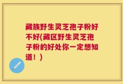 藏族野生灵芝孢子粉好不好(藏区野生灵芝孢子粉的好处你一定想知道！)