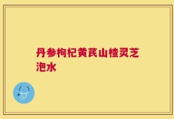 丹参枸杞黄芪山楂灵芝泡水