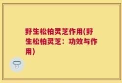 野生松柏灵芝作用(野生松柏灵芝：功效与作用)
