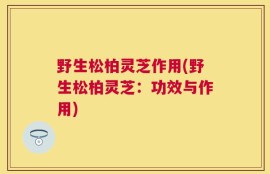 野生松柏灵芝作用(野生松柏灵芝：功效与作用)