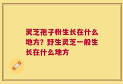 灵芝孢子粉生长在什么地方？野生灵芝一般生长在什么地方
