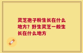 灵芝孢子粉生长在什么地方？野生灵芝一般生长在什么地方