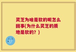 灵芝为啥是软的呢怎么回事(为什么灵芝的质地是软的？)
