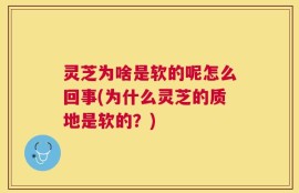 灵芝为啥是软的呢怎么回事(为什么灵芝的质地是软的？)