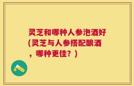 灵芝和哪种人参泡酒好(灵芝与人参搭配酿酒，哪种更佳？)