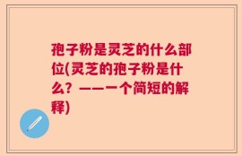 孢子粉是灵芝的什么部位(灵芝的孢子粉是什么？——一个简短的解释)