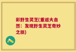 彩野生灵芝(重返大自然：发现野生灵芝奇妙之旅)