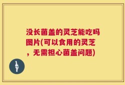 没长菌盖的灵芝能吃吗图片(可以食用的灵芝，无需担心菌盖问题)