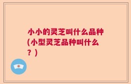 小小的灵芝叫什么品种(小型灵芝品种叫什么？)