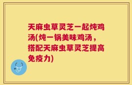 天麻虫草灵芝一起炖鸡汤(炖一锅美味鸡汤，搭配天麻虫草灵芝提高免疫力)